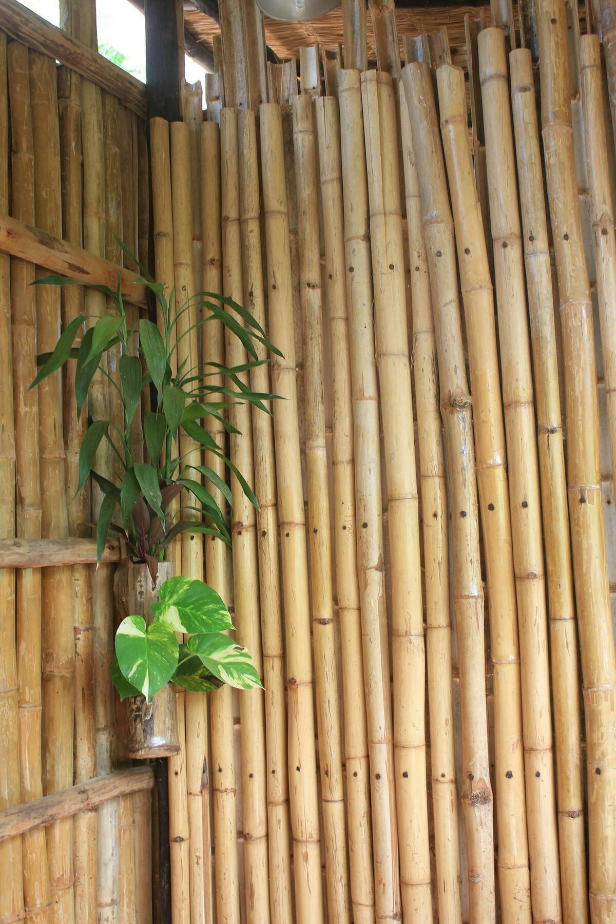 Battambang Dream Bungalows Bagian luar foto