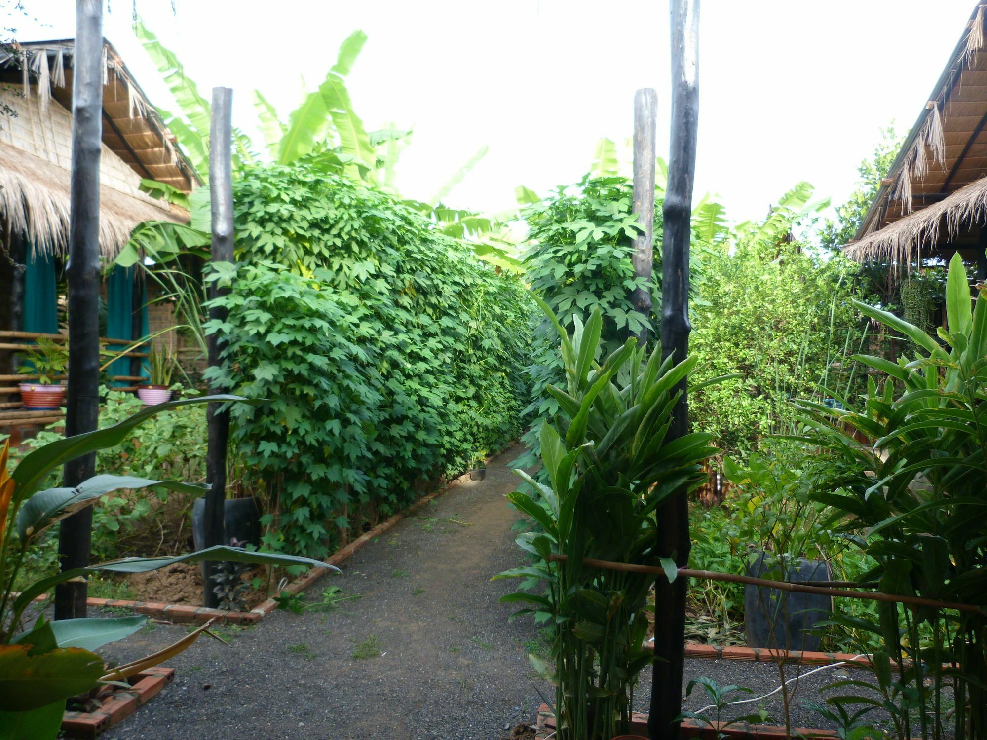 Battambang Dream Bungalows Bagian luar foto